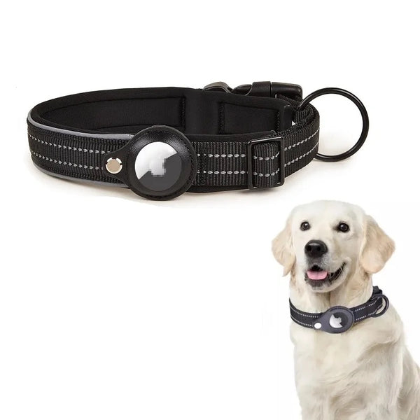 Dog Collar with AirTag