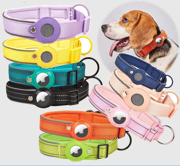 Dog Collar with AirTag